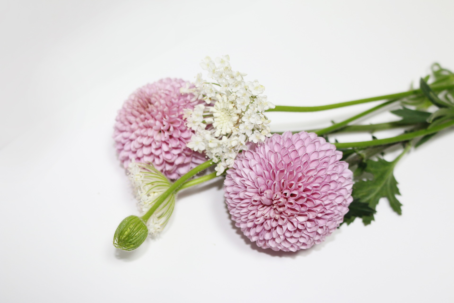 Affordable Cuteness {Chic Monkey Boutique Giveaway}